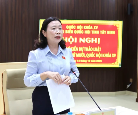 Đoàn đại biểu Quốc hội tỉnh lấy ý kiến dự thảo Luật Phòng bệnh và Luật Phòng, chống ma túy (sửa đổi)