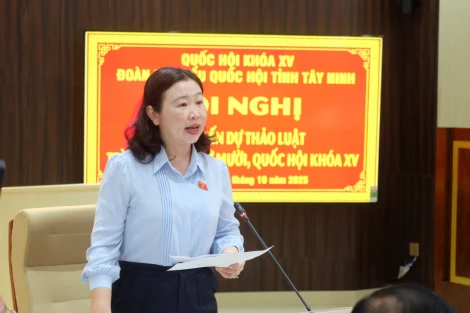 Đoàn đại biểu Quốc hội tỉnh Tây Ninh lấy ý kiến đóng góp các dự án Luật