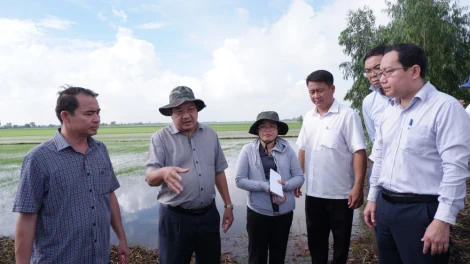 Không được lơ là, chủ quan trong bảo vệ vùng sản xuất