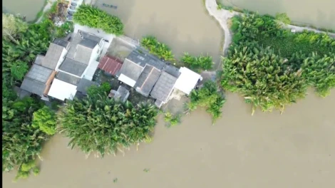 Tây Ninh công bố tình huống khẩn cấp sạt lở bờ sông Cần Đước đoạn qua Xóm Trễ