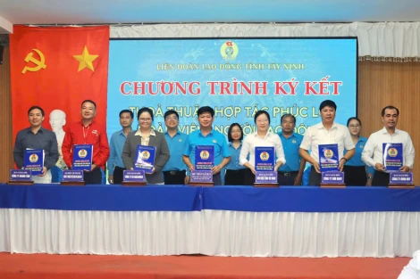 Liên đoàn Lao động tỉnh Tây Ninh triển khai nội dung chuẩn bị Đại hội Công đoàn tỉnh lần thứ I