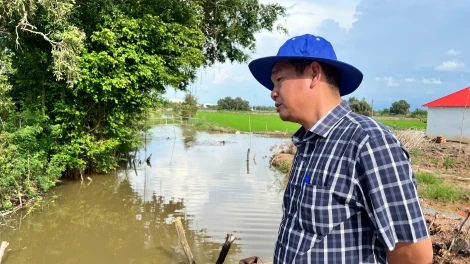 Phường Kiến Tường tăng cường kiểm tra, gia cố hệ thống đê bao