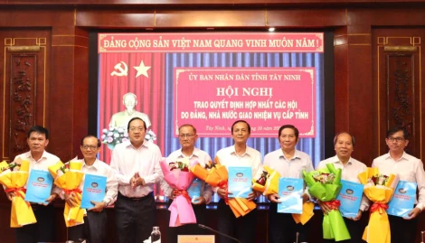 Trao Quyết định hợp nhất các Hội do Đảng, Nhà nước giao nhiệm vụ cấp tỉnh