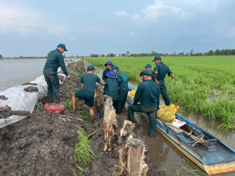 Chủ tịch UBND xã Tân Long khảo sát các tuyến đê ngăn lũ