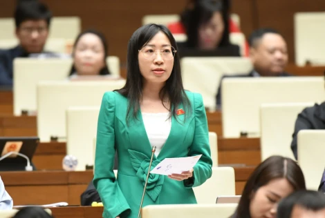 Đại biểu Quốc hội Hoàng Thị Thanh Thúy: Không nên quy định thẩm quyền của Tổ đại biểu HĐND