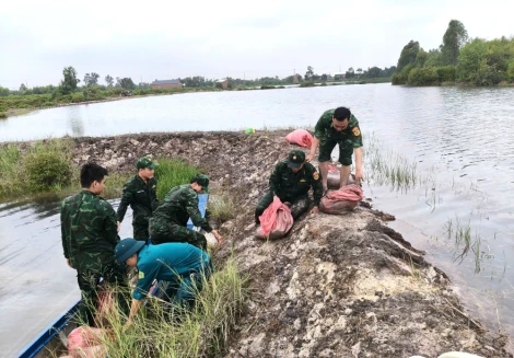 Xã Đông Thành chung tay ngăn lũ