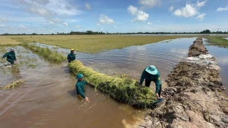 Tây Ninh: Thiệt hại do lũ hơn 33 tỉ đồng