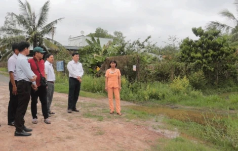 Kiểm tra việc thực hiện chính sách hỗ trợ nông nghiệp tại xã Long Chữ và Hảo Đước