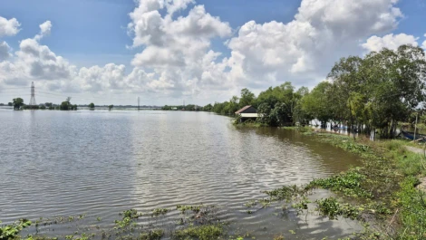 Tây Ninh: Mực nước sông vượt báo động III, nguy cơ ngập sâu, sạt lở, vỡ đê tại nhiều vùng trũng, thấp