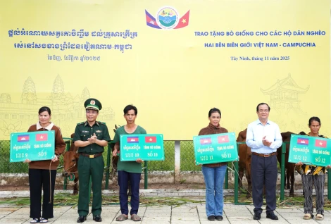 Trao tặng bò giống cho các hộ dân hai bên biên giới Việt Nam – Campuchia