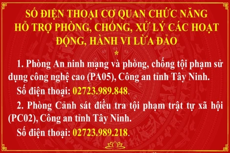 Tỉnh táo để ngăn chặn lừa đảo từ gốc