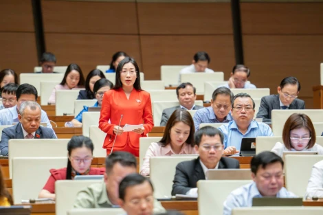 Đại biểu Hoàng Thị Thanh Thúy: Đề xuất hoàn thiện quy định về thương mại điện tử qua hình thức livestream và quản lý nền tảng xuyên biên giới
