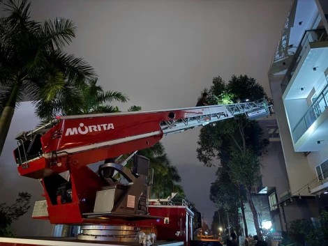 Tây Ninh: Kịp thời xử lý an toàn tổ ong vò vẽ lớn trong khu dân cư