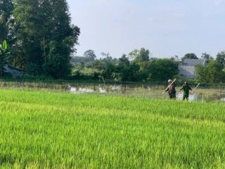Công an xã Châu Thành tuyên truyền, xử lý vi phạm liên quan đến bảo vệ động vật hoang dã