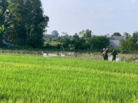 Công an xã Châu Thành tuyên truyền, xử lý vi phạm liên quan đến bảo vệ động vật hoang dã
