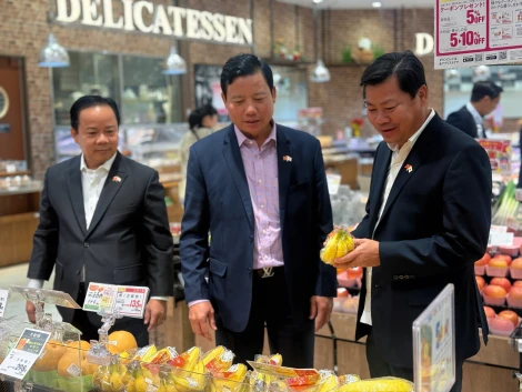 Đoàn công tác tỉnh Tây Ninh làm việc với Tập đoàn AEON tại Tokyo