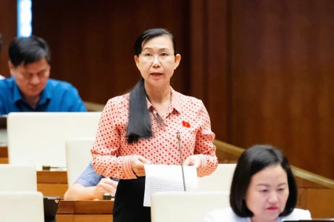 Đoàn đại biểu Quốc hội tỉnh Tây Ninh đóng góp nhiều ý kiến cho Luật sửa đổi, bổ sung một số điều của Luật Lý lịch tư pháp