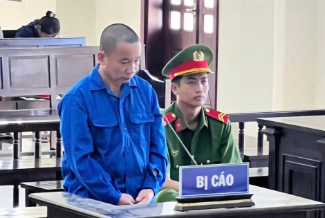 Lừa gần 3,7 tỉ đồng tiền cọc, cò lúa bị phạt 17 năm tù