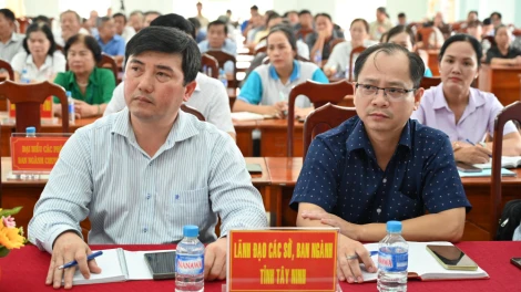 Cử tri xã Bình Đức quan tâm nhiều về lĩnh vực đất đai