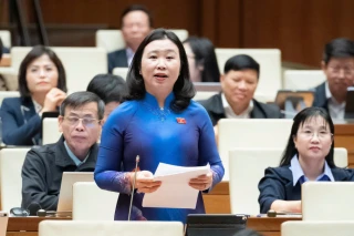 Đại biểu Quốc hội Lê Thị Song An: Cần làm rõ giá trị pháp lý của bằng trung học nghề