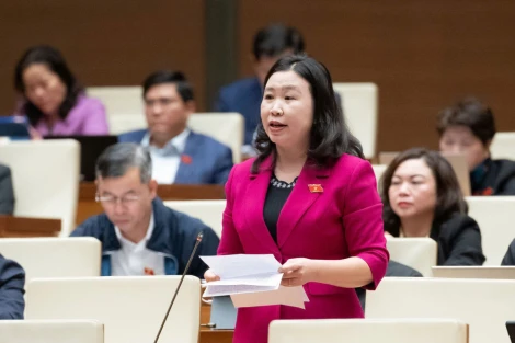 Đại biểu Lê Thị Song An: Đề nghị bổ sung vào các khoản được miễn trừ khi tính thuế thu nhập cá nhân