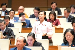 Luật Đầu tư: Ưu đãi phải chọn lọc – hỗ trợ phải thực chất