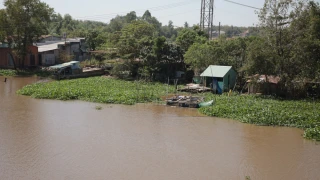 Kiểm tra và nghiệm thu lần cuối công tác xử lý lục bình trên sông Vàm Cỏ Đông