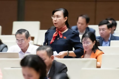 Đại biểu Phan Thị Mỹ Dung: Xem xét bỏ quy định bắt buộc phải ghi giá đất trong quyết định giao đất, cho thuê đất