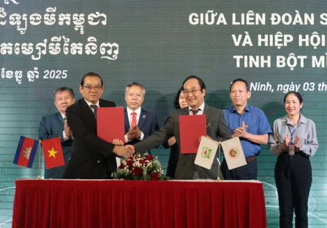 Tây Ninh: Ký kết hợp tác sản xuất khoai mì với Liên đoàn sắn Campuchia