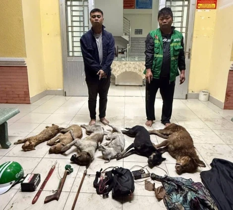 Bắt giữ hai nghi phạm sử dụng súng điện tự chế trộm chó trong đêm