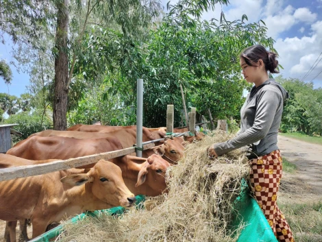 Vững sinh kế, tự tin vươn lên thoát nghèo