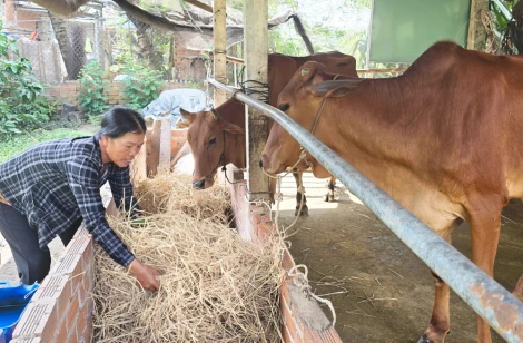 Xã Mỹ Hạnh - Đẩy mạnh giảm nghèo thông tin, góp phần nâng cao dân trí