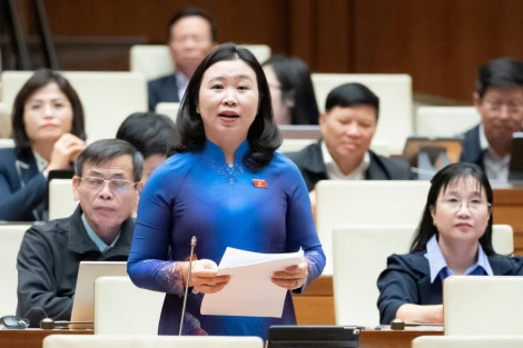 Đại biểu Lê Thị Song An: Đề nghị sớm triển khai phương án xử lý Nhà máy bột giấy Phương Nam