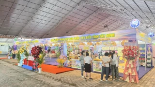 45 doanh nghiệp Tây Ninh tham gia Hội chợ Triển lãm hàng công nghiệp nông thôn năm 2025 tại TP.Hồ Chí Minh