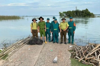 Đã xử lý lưới 'tàng hình' bắt chim trời ở xã Dương Minh Châu