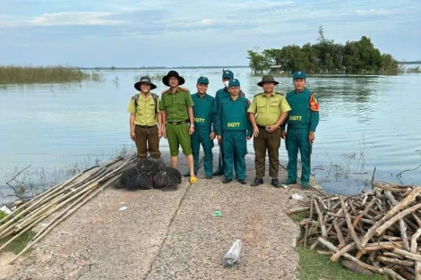 Đã xử lý lưới 'tàng hình' bắt chim trời ở xã Dương Minh Châu