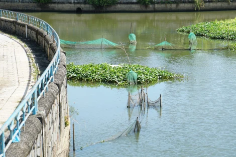 Còn nhiều dớn bắt cá trên rạch Tây Ninh