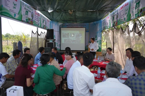 Đánh giá kết quả thử nghiệm mô hình ứng dụng phân hữu cơ từ lục bình