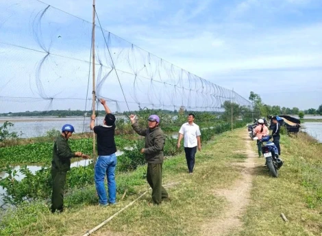 Tăng cường tuyên truyền, xử lý vi phạm về bảo vệ động vật hoang dã